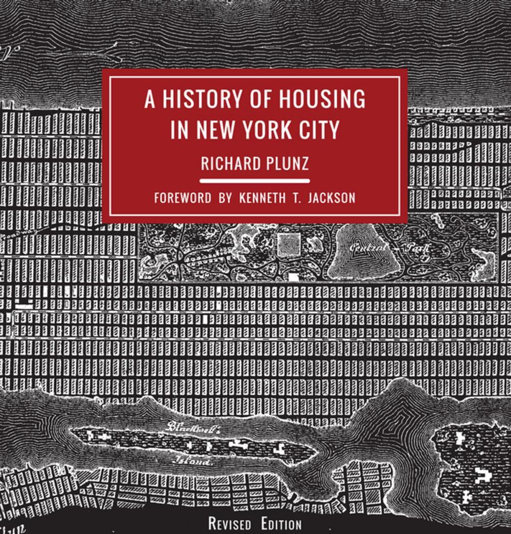 Big bigCover of A History of Housing in New York City