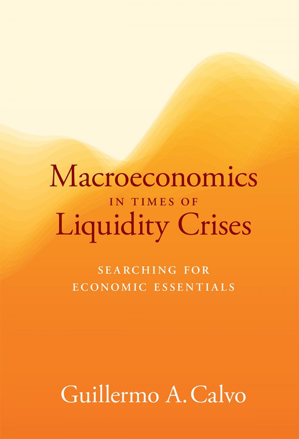 Big bigCover of Macroeconomics in Times of Liquidity Crises