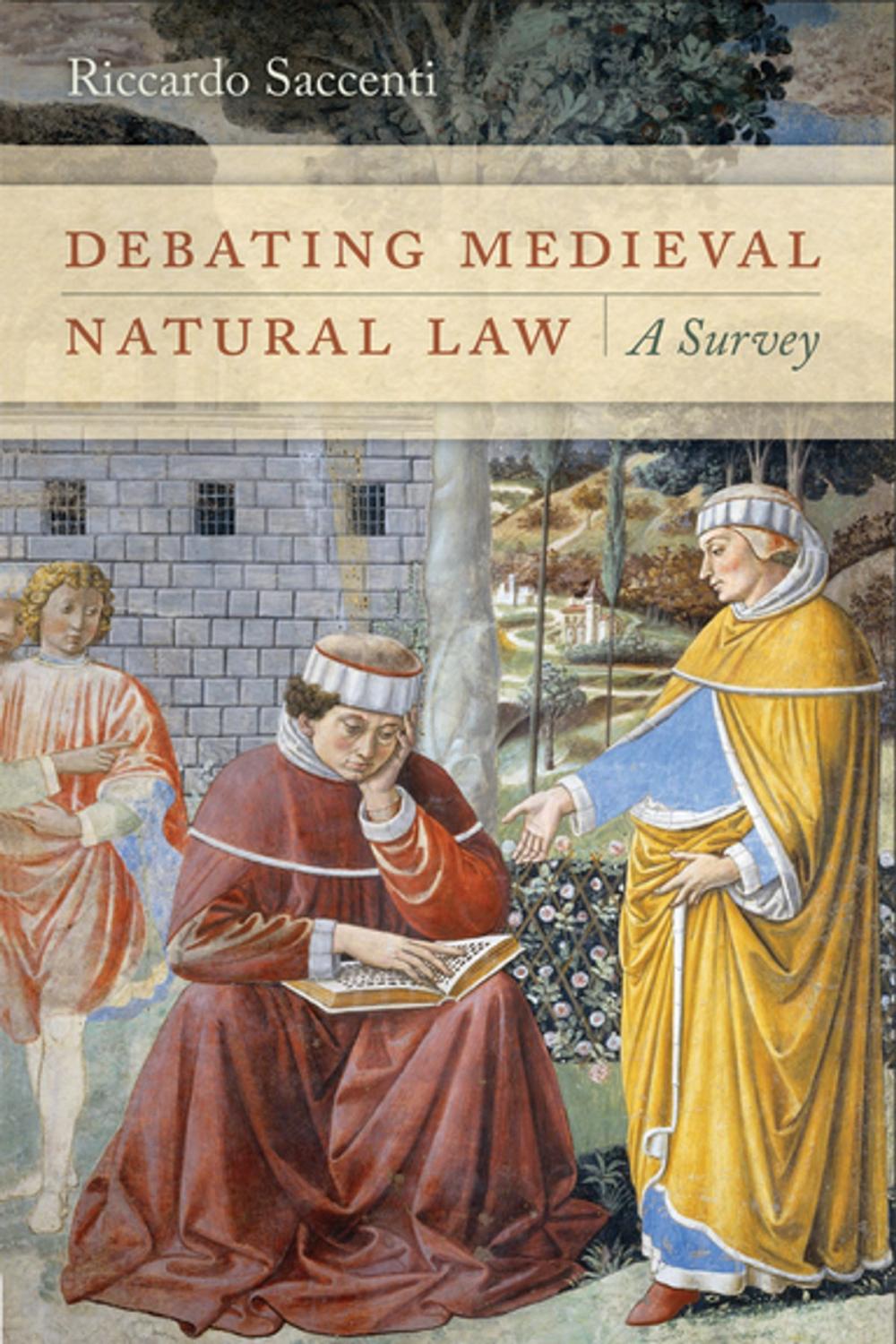 Big bigCover of Debating Medieval Natural Law