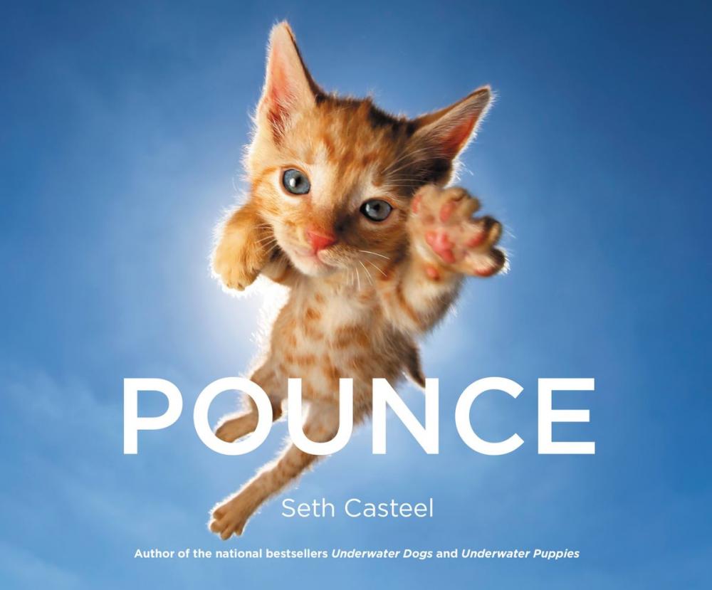 Big bigCover of Pounce