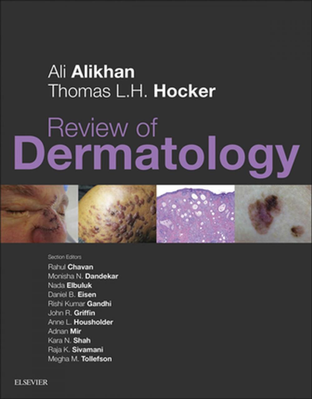 Big bigCover of Review of Dermatology E-Book