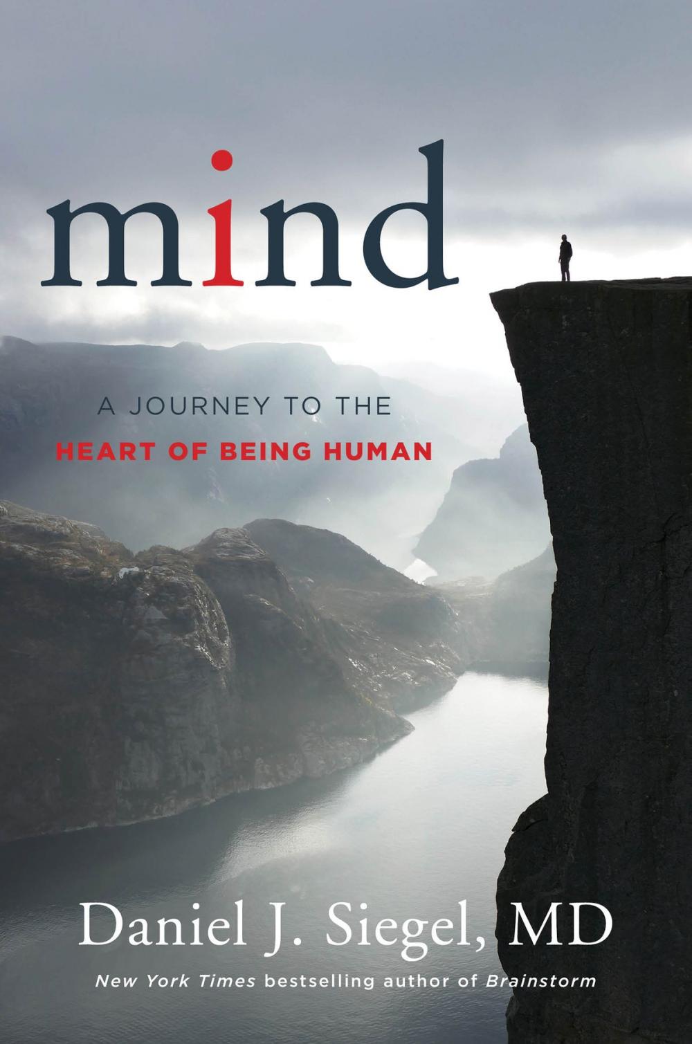 Big bigCover of Mind: A Journey to the Heart of Being Human (Norton Series on Interpersonal Neurobiology)