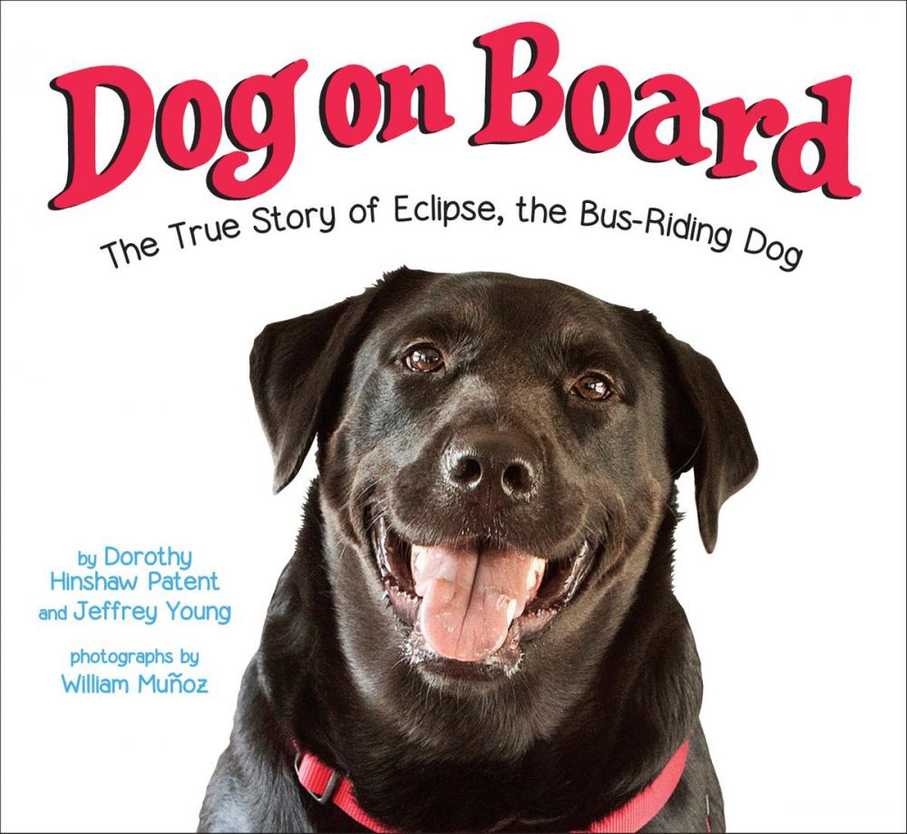 Big bigCover of Dog on Board