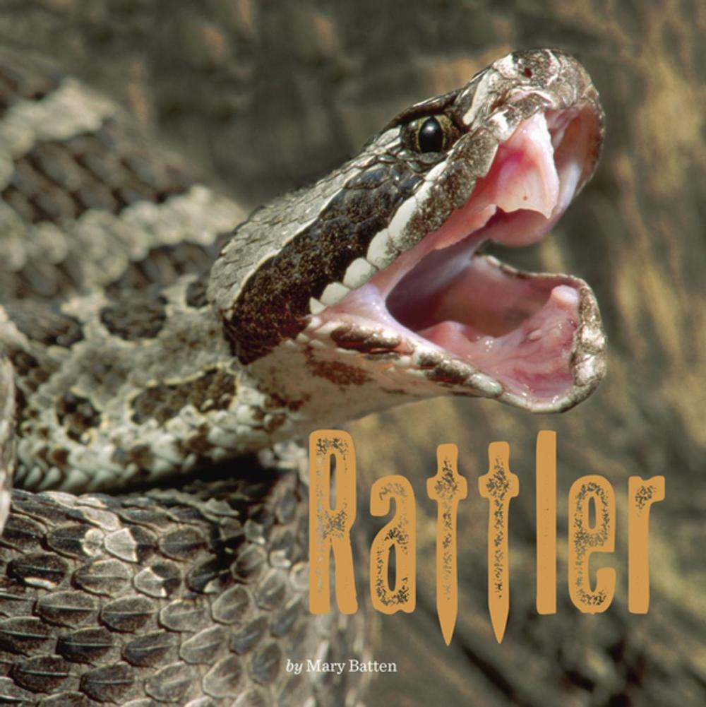 Big bigCover of Rattler