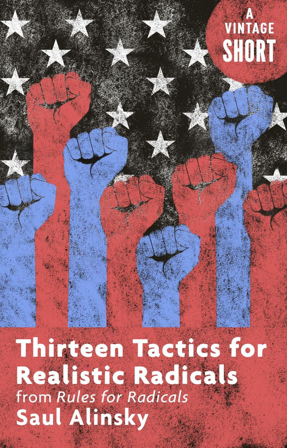 Big bigCover of Thirteen Tactics for Realistic Radicals