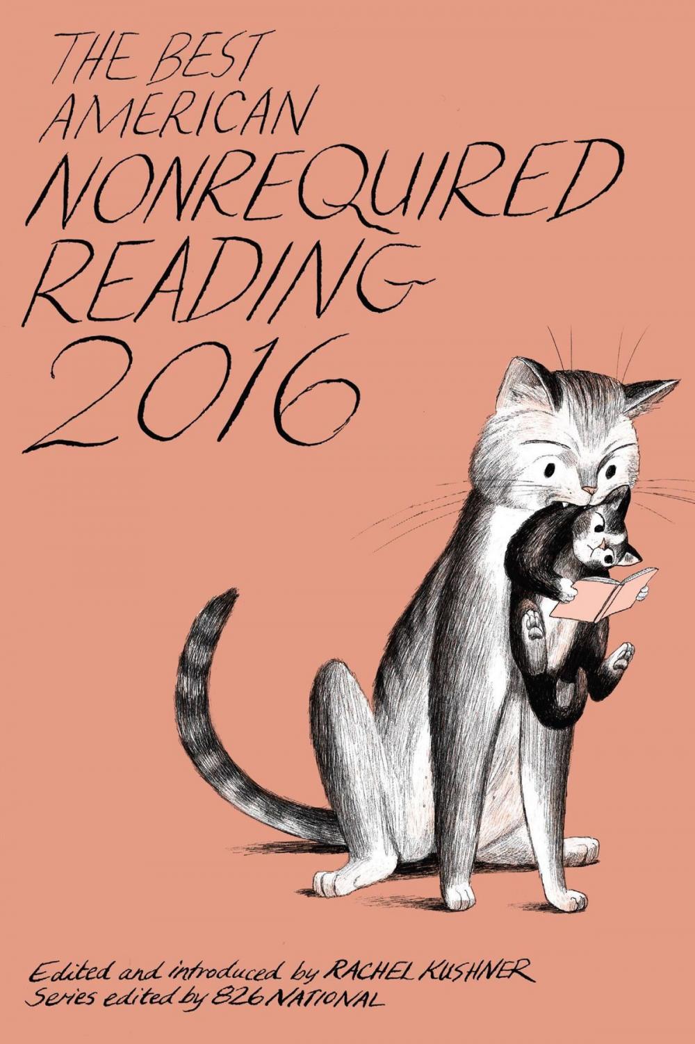 Big bigCover of The Best American Nonrequired Reading 2016
