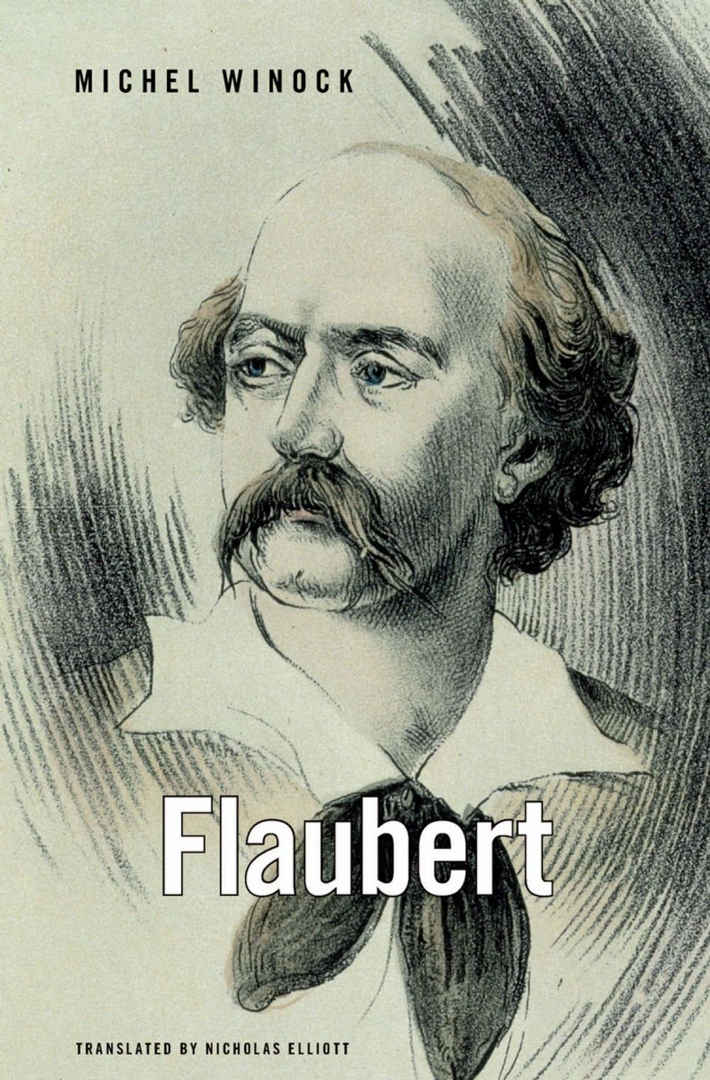 Big bigCover of Flaubert