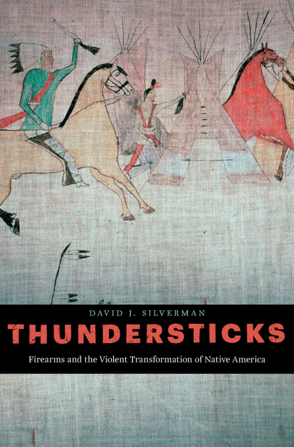 Big bigCover of Thundersticks