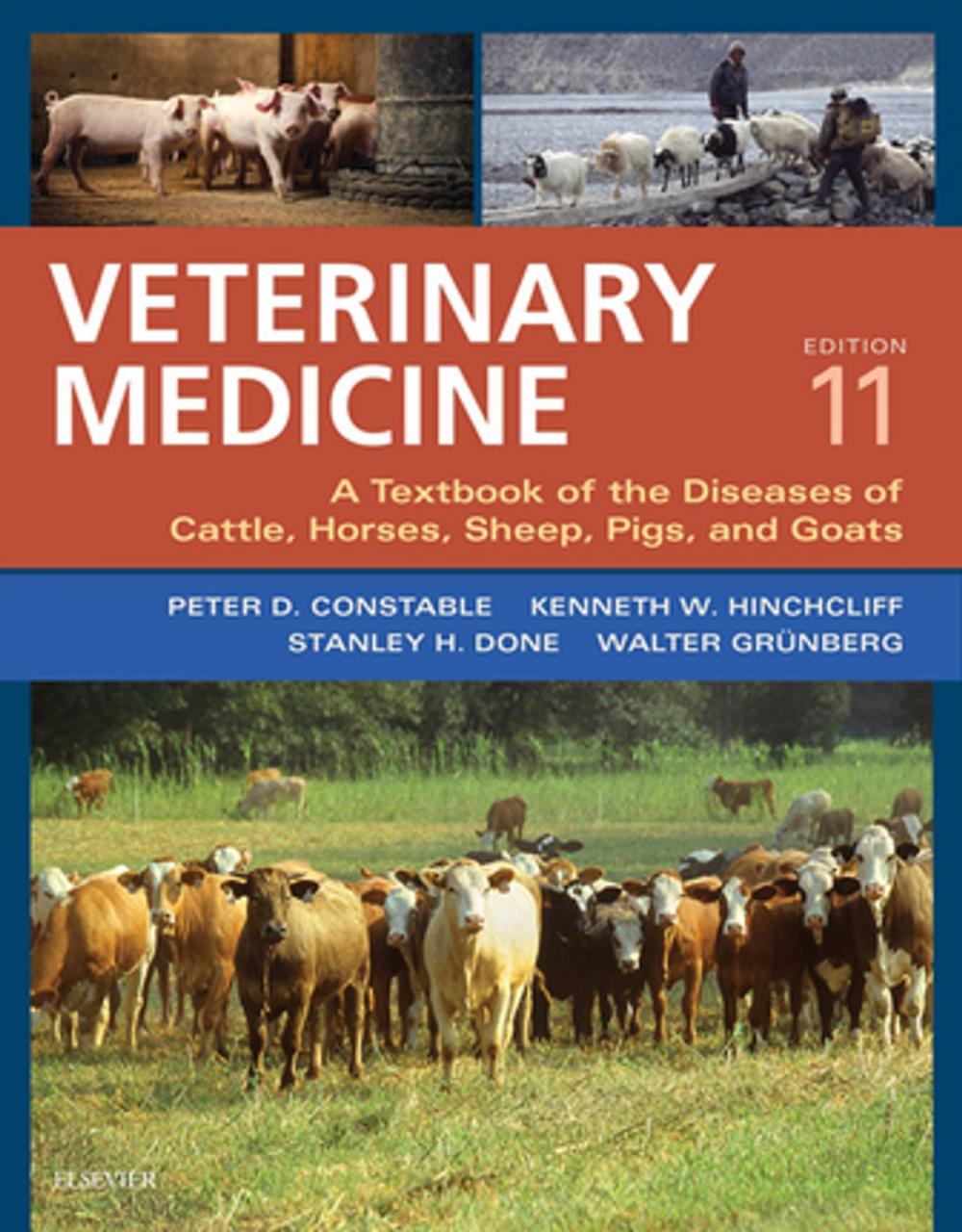 Big bigCover of Veterinary Medicine - E-BOOK