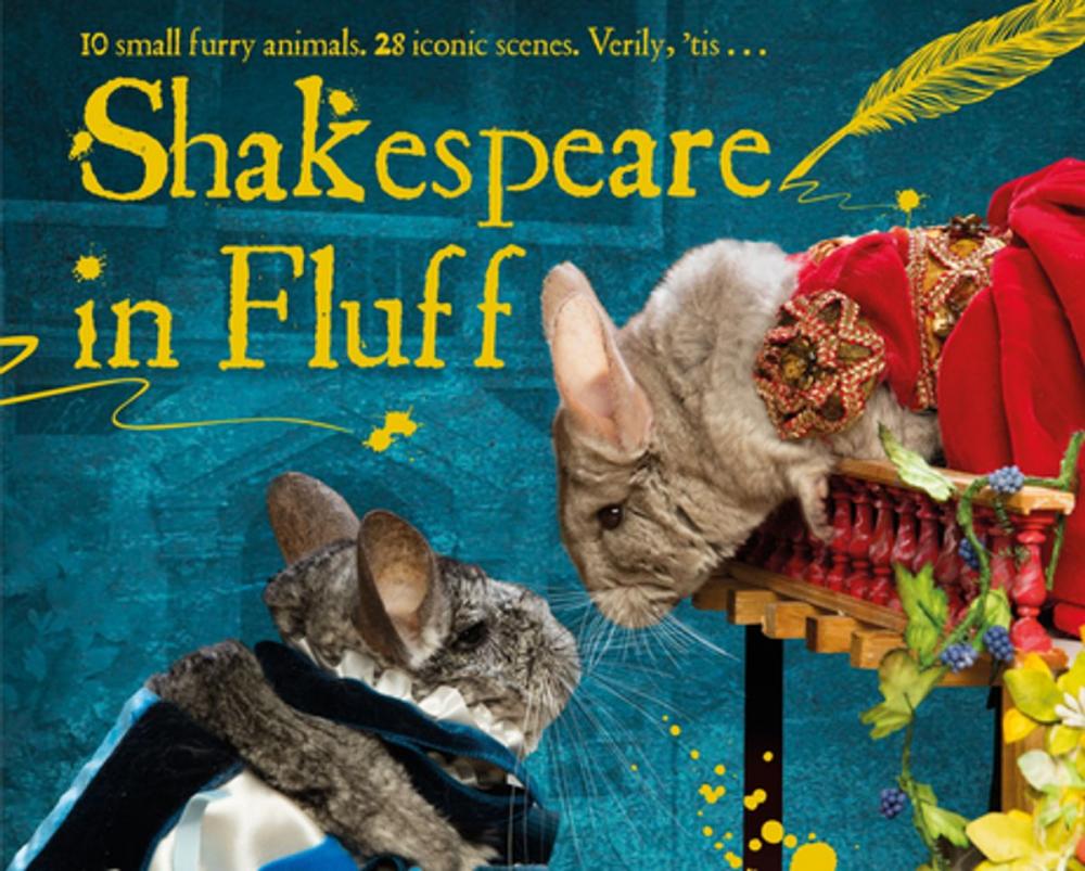 Big bigCover of Shakespeare in Fluff