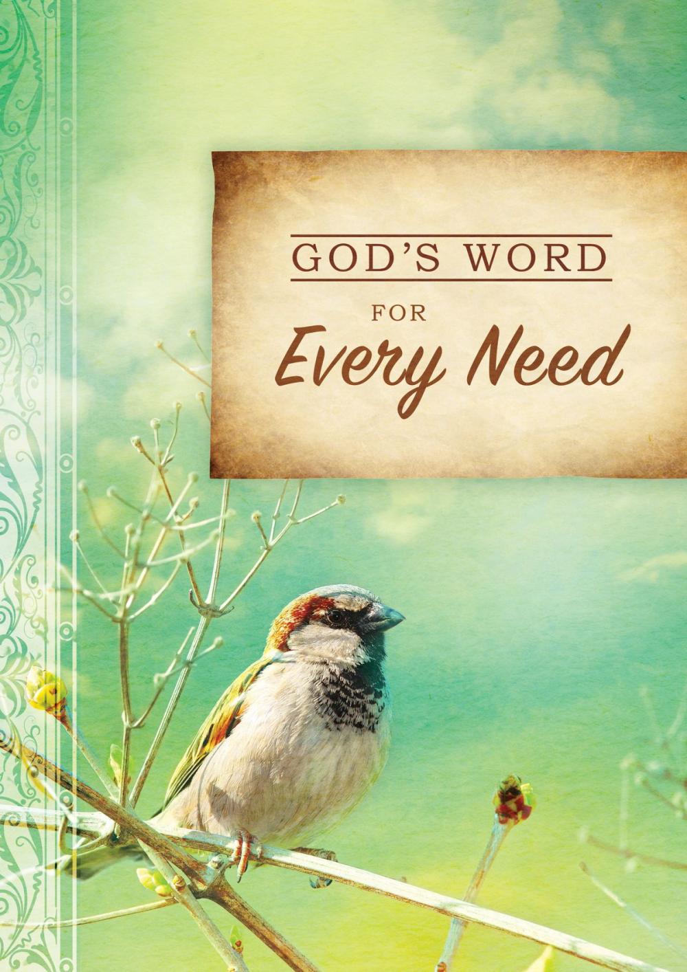 Big bigCover of God's Word for Every Need