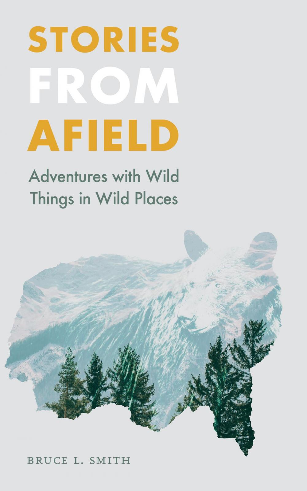 Big bigCover of Stories from Afield