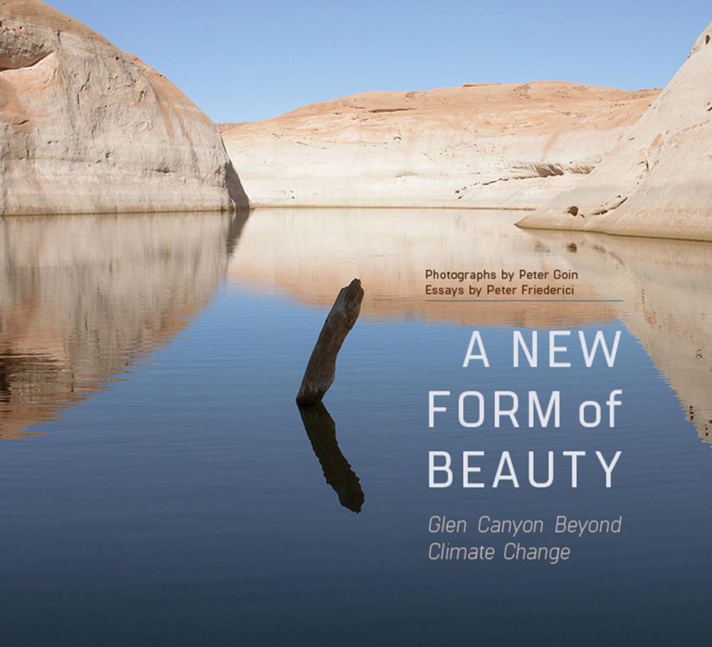 Big bigCover of A New Form of Beauty