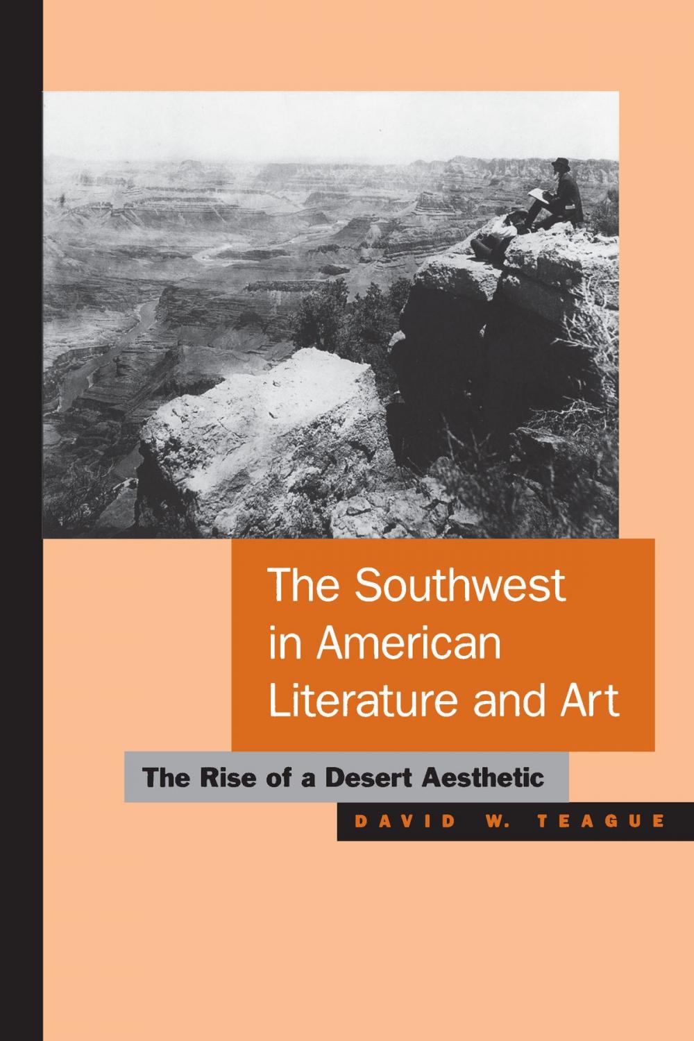 Big bigCover of The Southwest in American Literature and Art