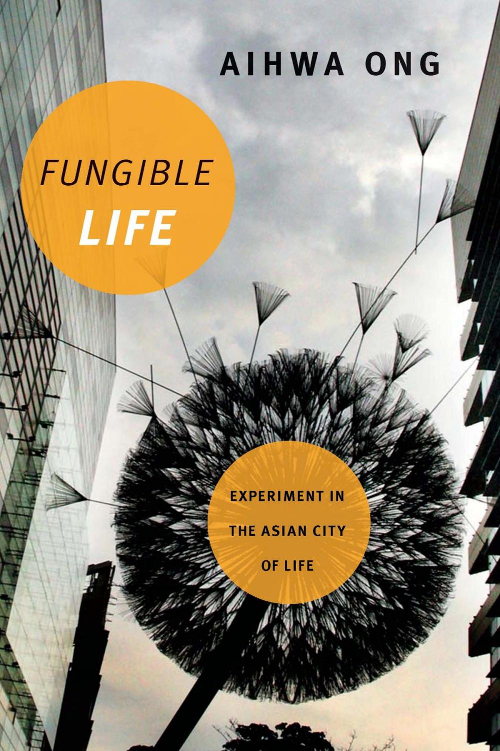 Big bigCover of Fungible Life