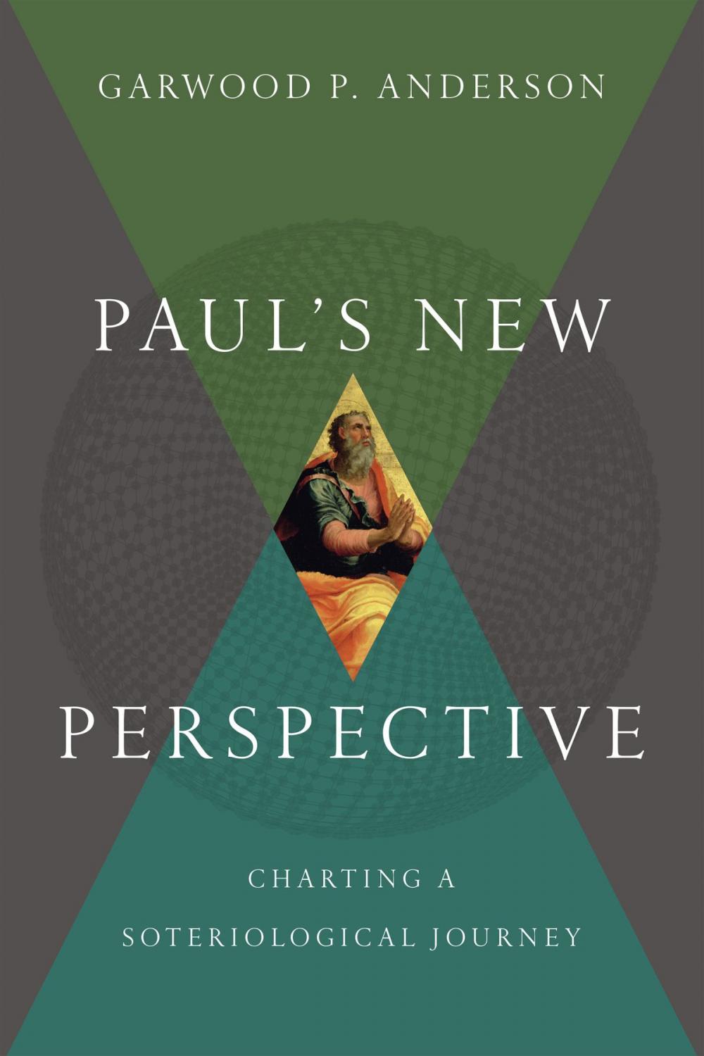 Big bigCover of Paul's New Perspective