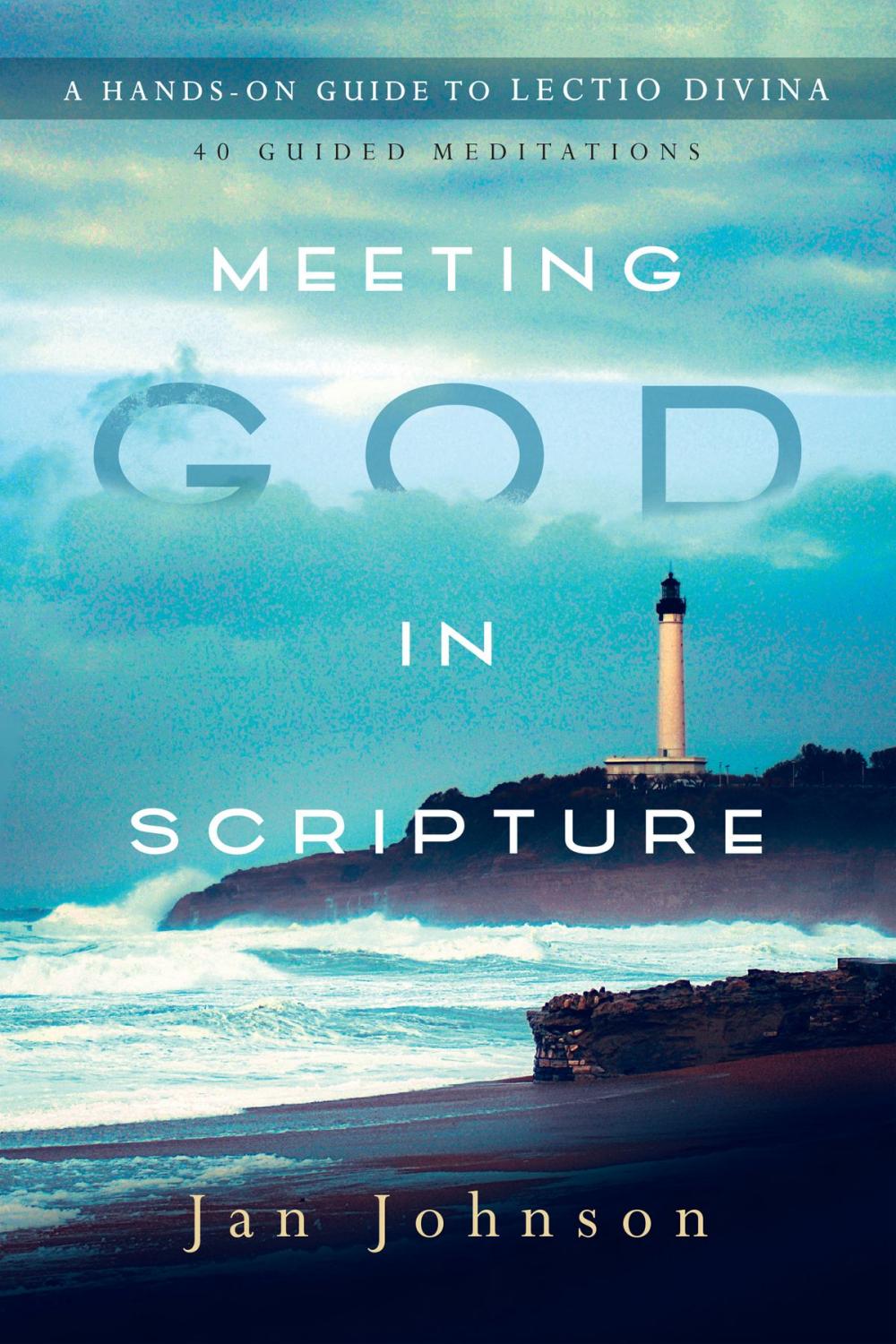 Big bigCover of Meeting God in Scripture