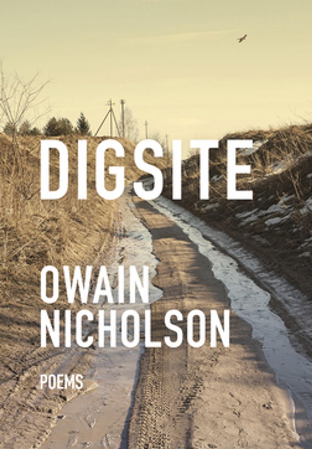 Big bigCover of Digsite