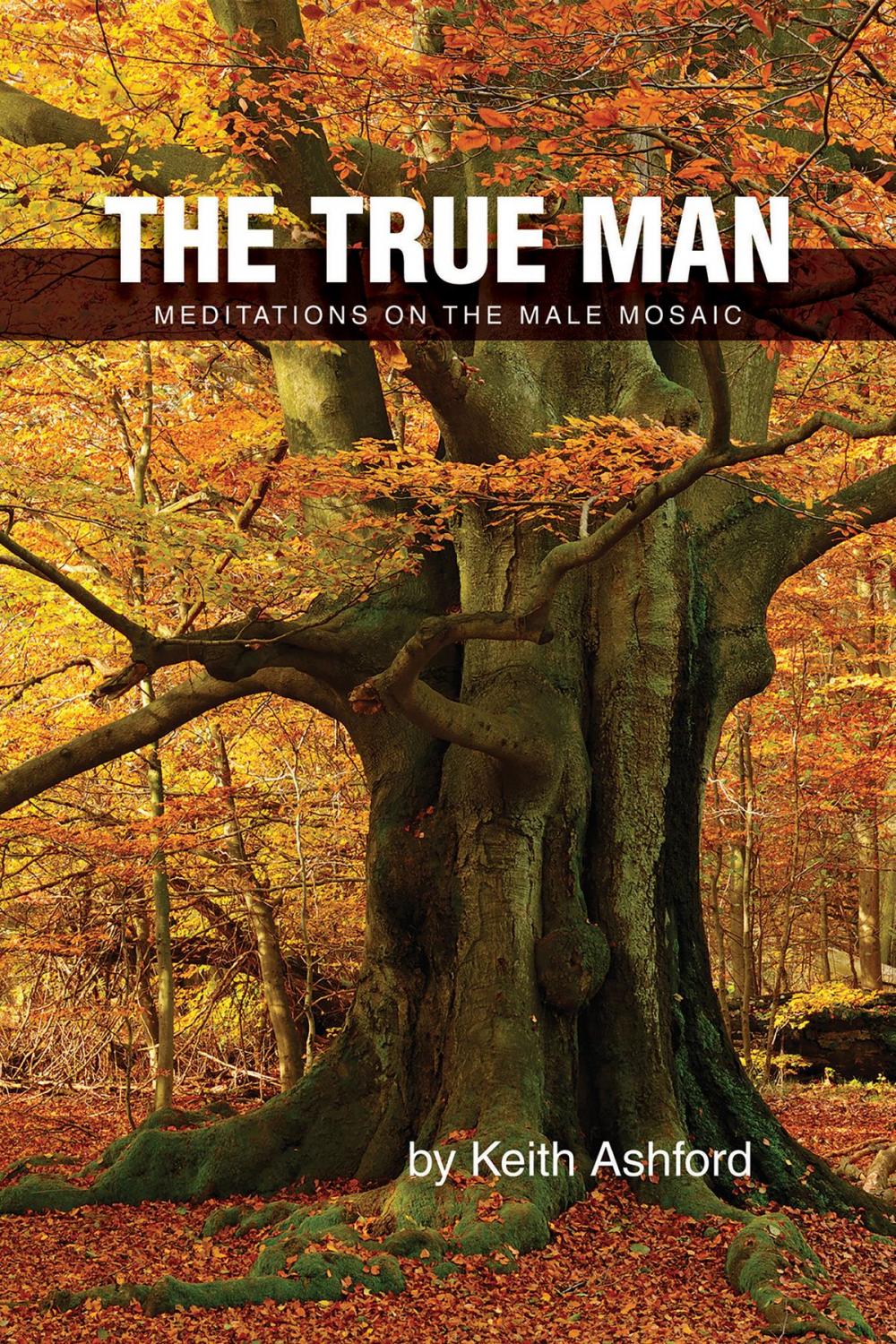 Big bigCover of The True Man: Meditations on the Male Mosaic