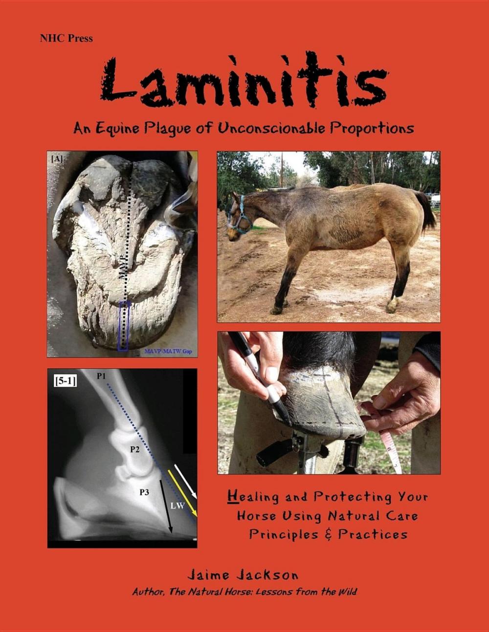 Big bigCover of Laminitis: An Equine Plague of Unconscionable Proportions