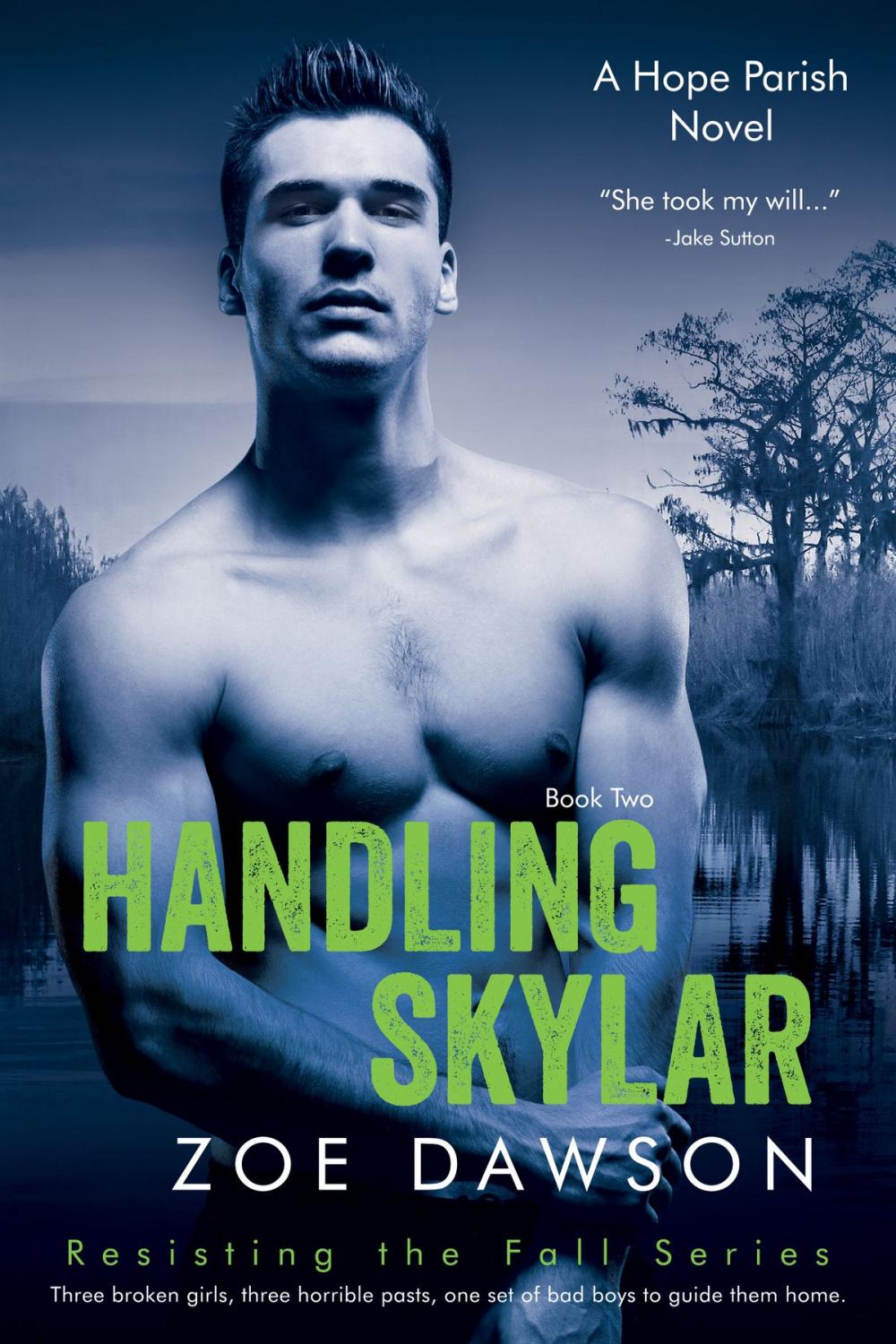 Big bigCover of Handling Skylar