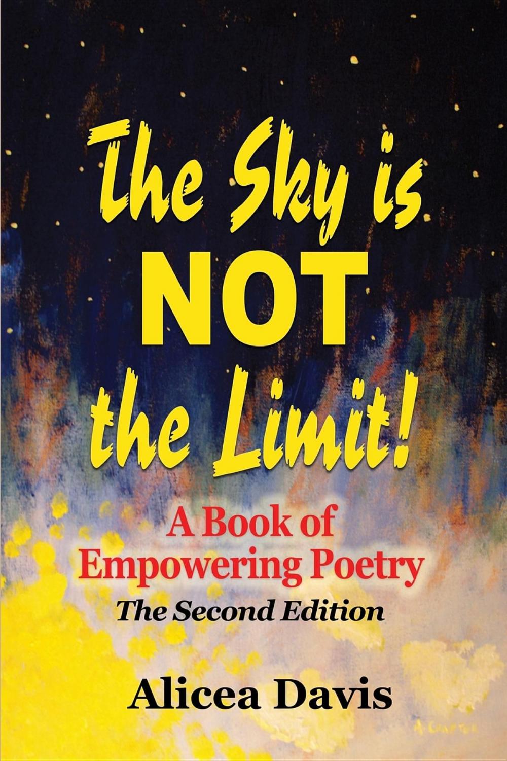 Big bigCover of The Sky is NOT the Limit!