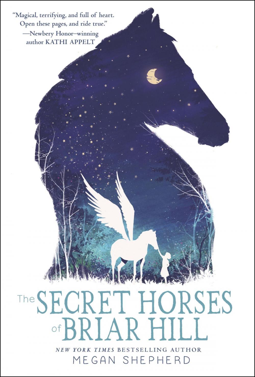 Big bigCover of The Secret Horses of Briar Hill