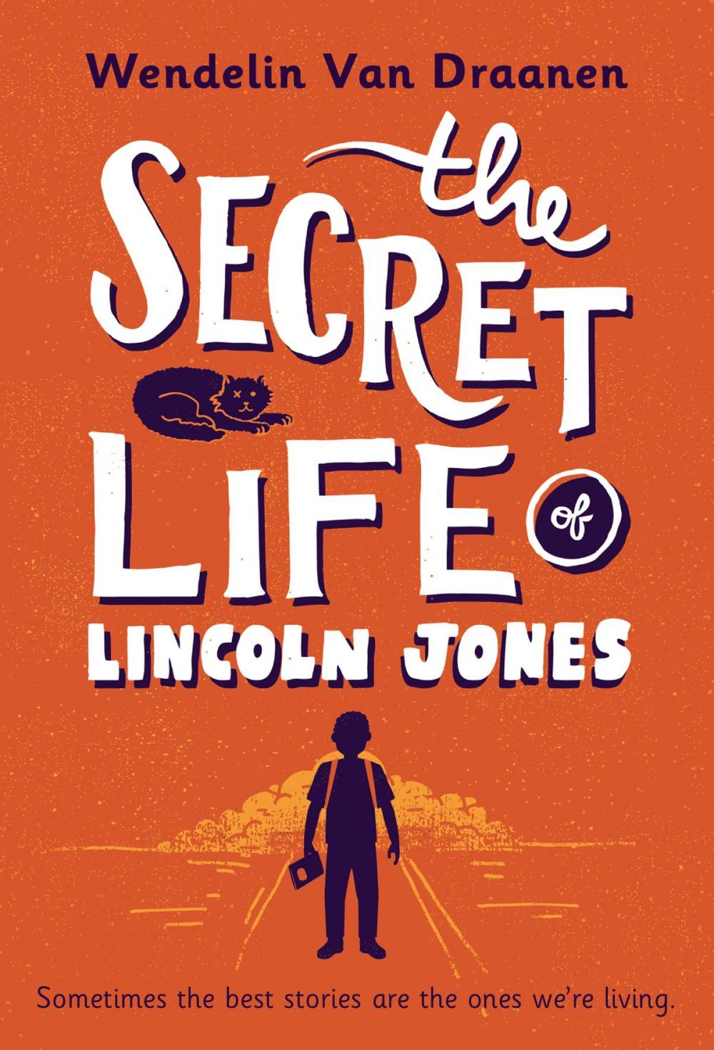 Big bigCover of The Secret Life of Lincoln Jones