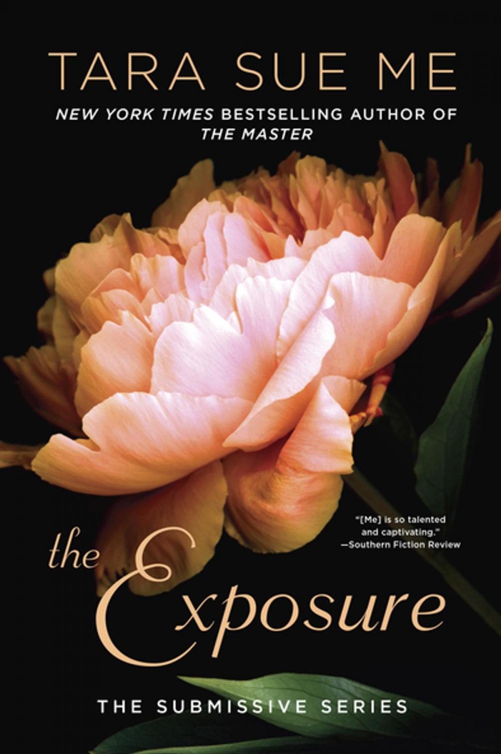 Big bigCover of The Exposure