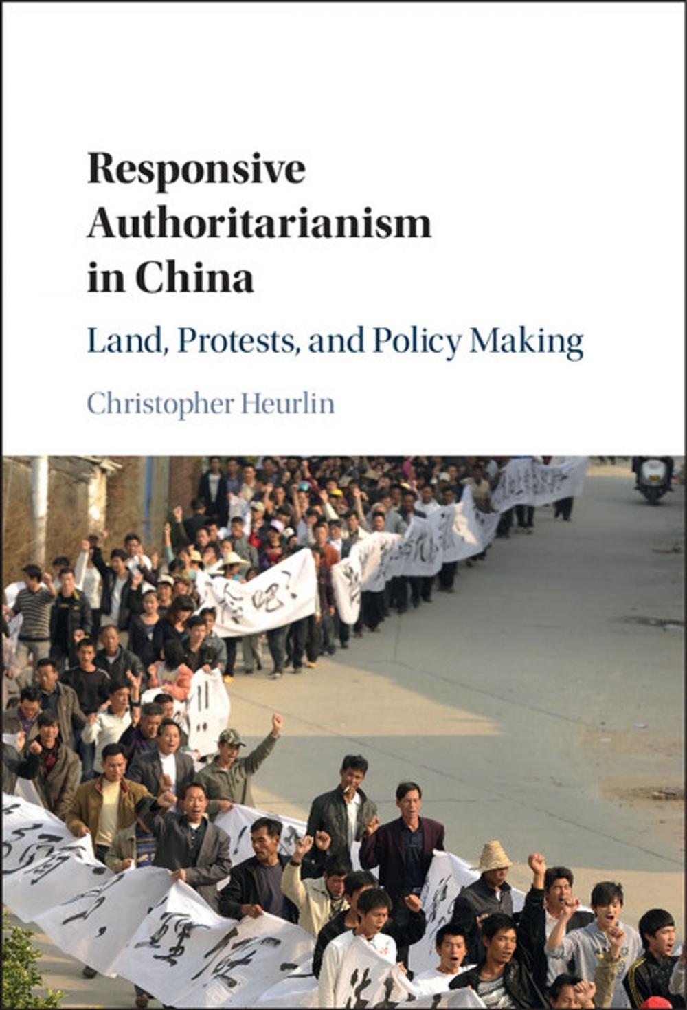 Big bigCover of Responsive Authoritarianism in China