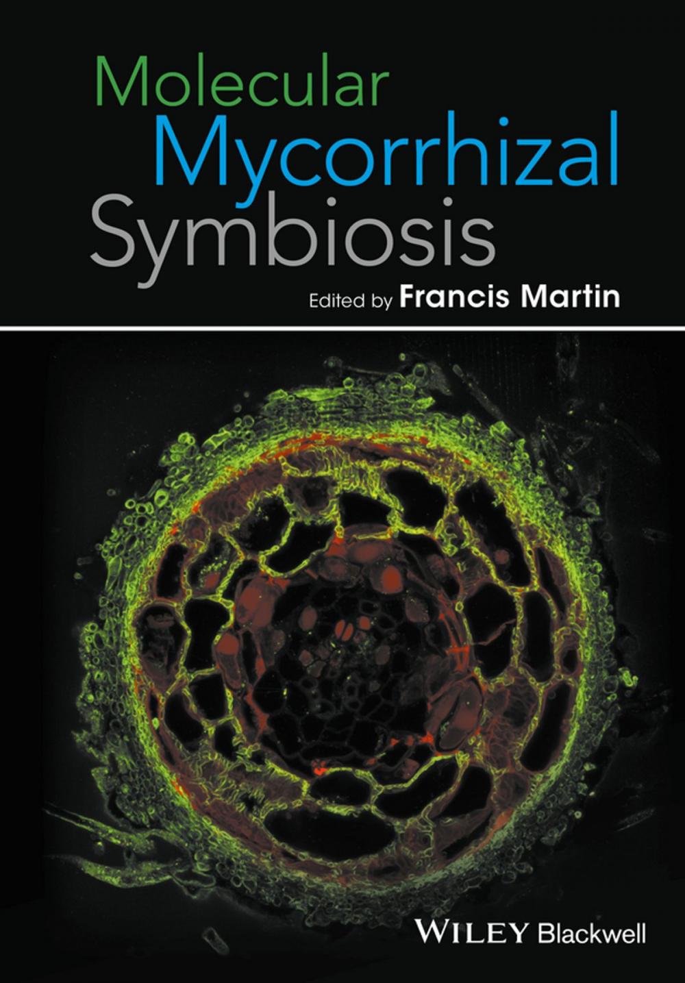 Big bigCover of Molecular Mycorrhizal Symbiosis