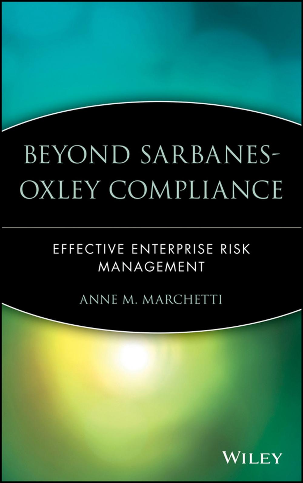 Big bigCover of Beyond Sarbanes-Oxley Compliance