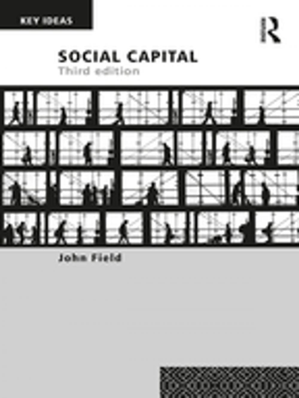 Big bigCover of Social Capital