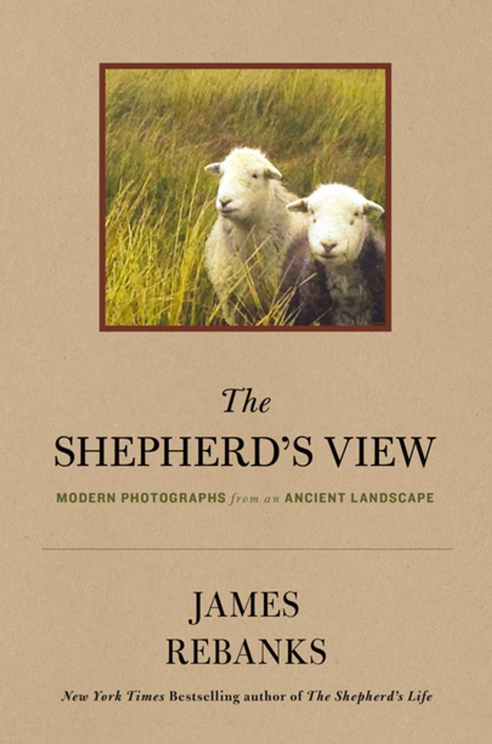 Big bigCover of The Shepherd's View