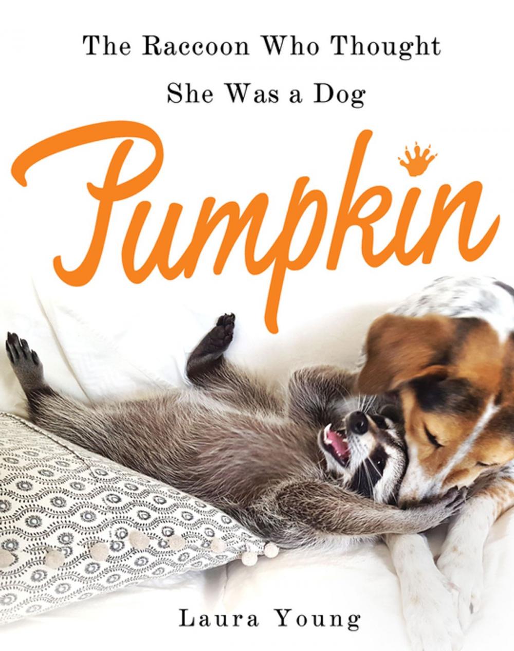 Big bigCover of Pumpkin: The Raccoon Who Thought She Was a Dog