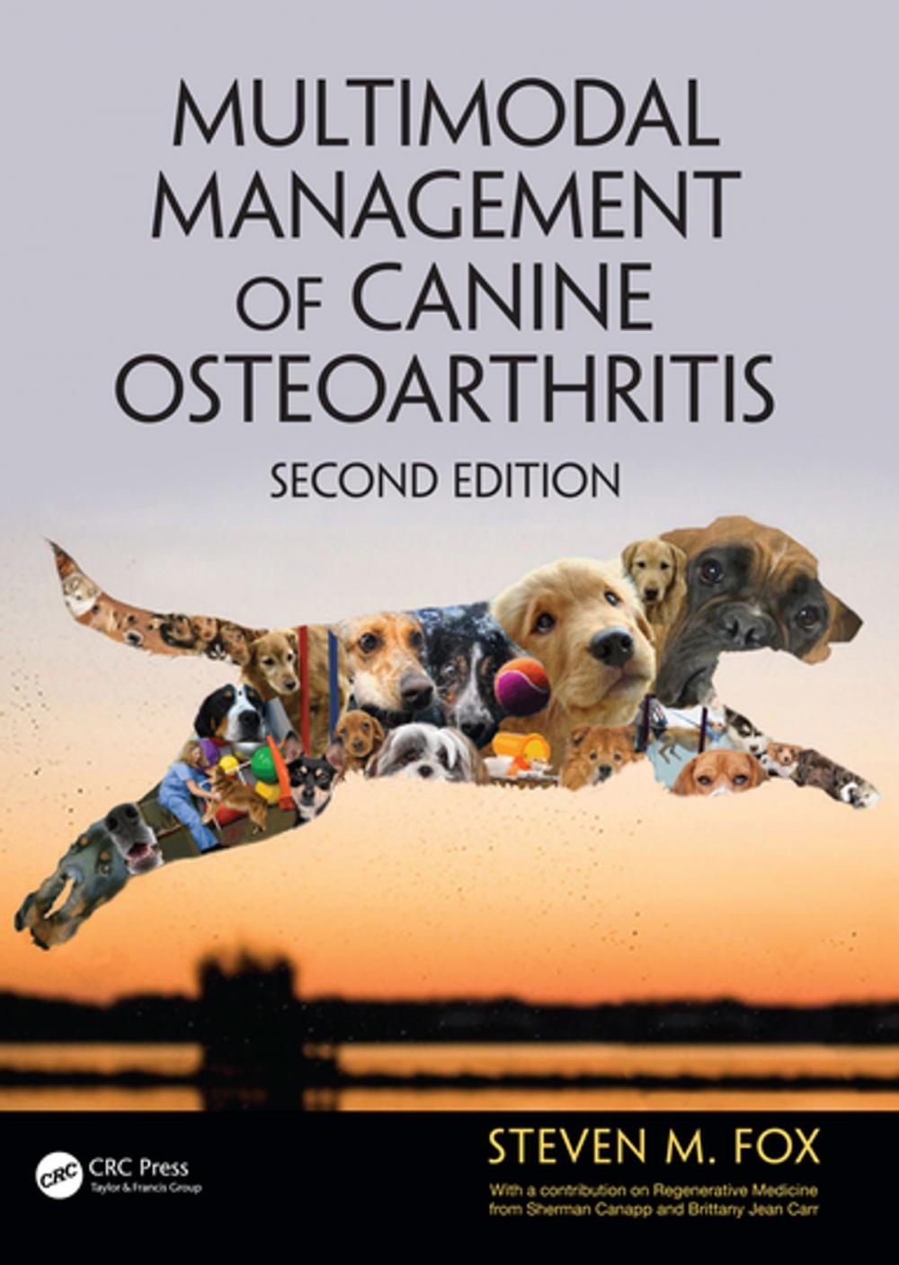 Big bigCover of Multimodal Management of Canine Osteoarthritis