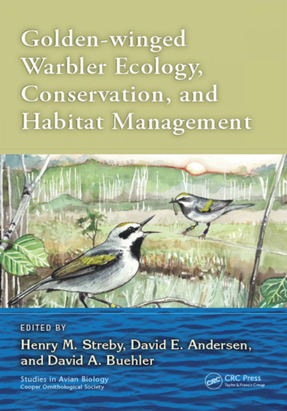 Big bigCover of Golden-winged Warbler Ecology, Conservation, and Habitat Management