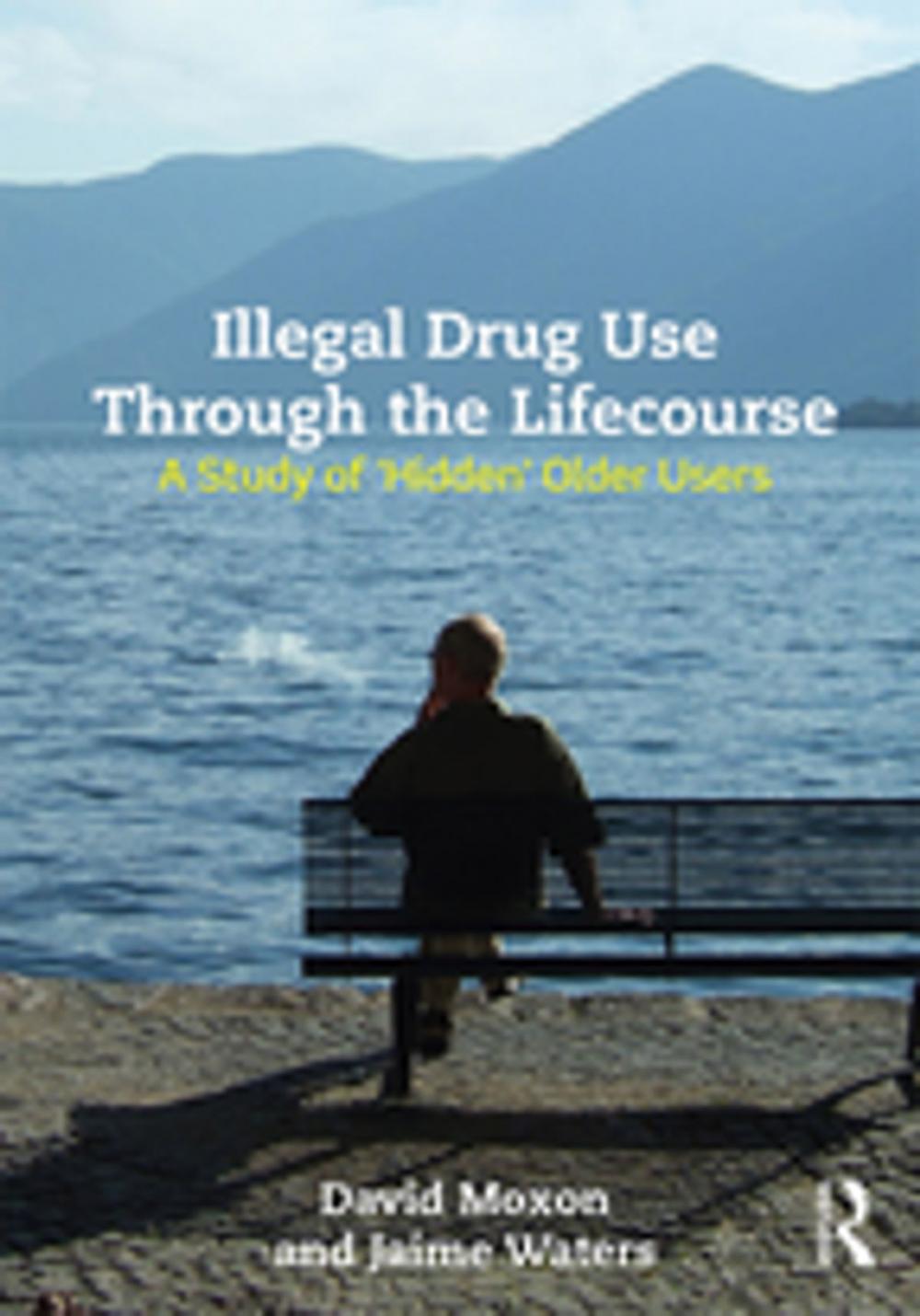 Big bigCover of Illegal Drug Use Through The Lifecourse