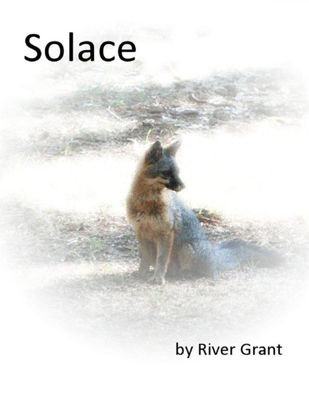 Big bigCover of Solace