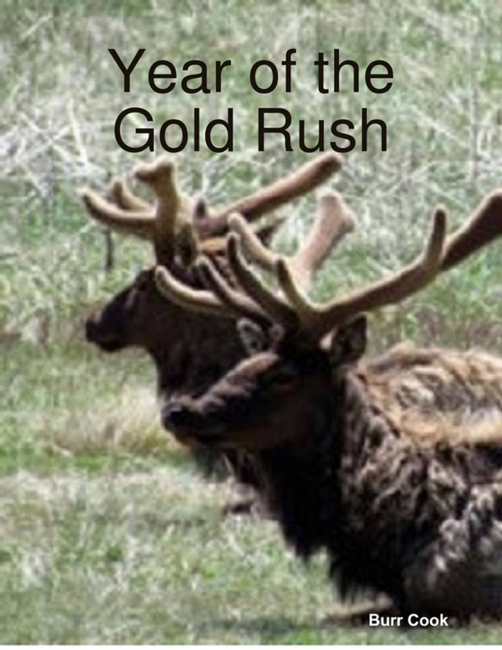 Big bigCover of Year of the Gold Rush