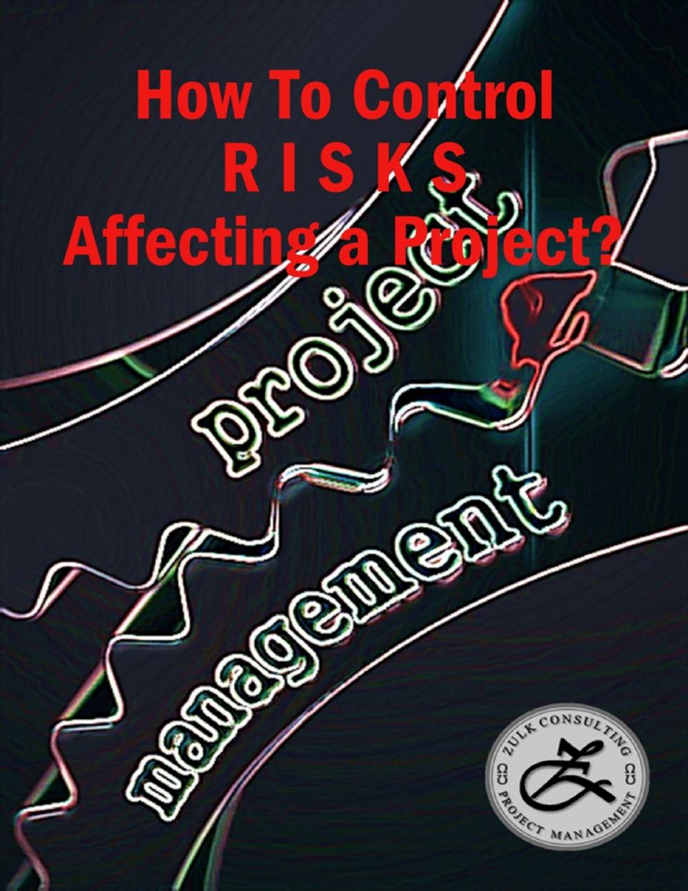 Big bigCover of How to Control Risks Affecting a Project?