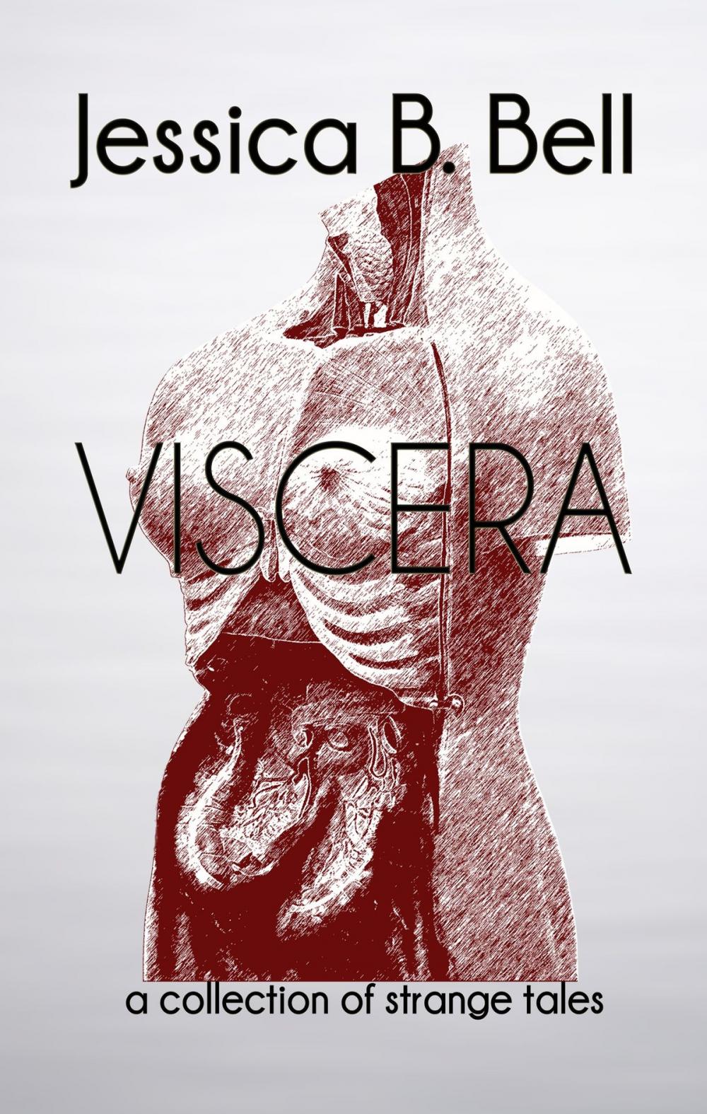 Big bigCover of Viscera