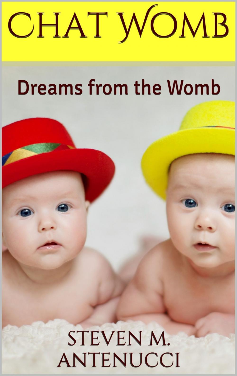 Big bigCover of Chat Womb: Dreams from the Womb