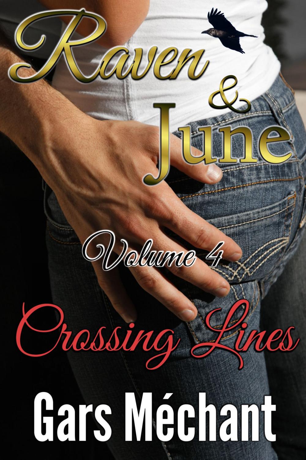 Big bigCover of Raven and June: Volume 4, Crossing Lines