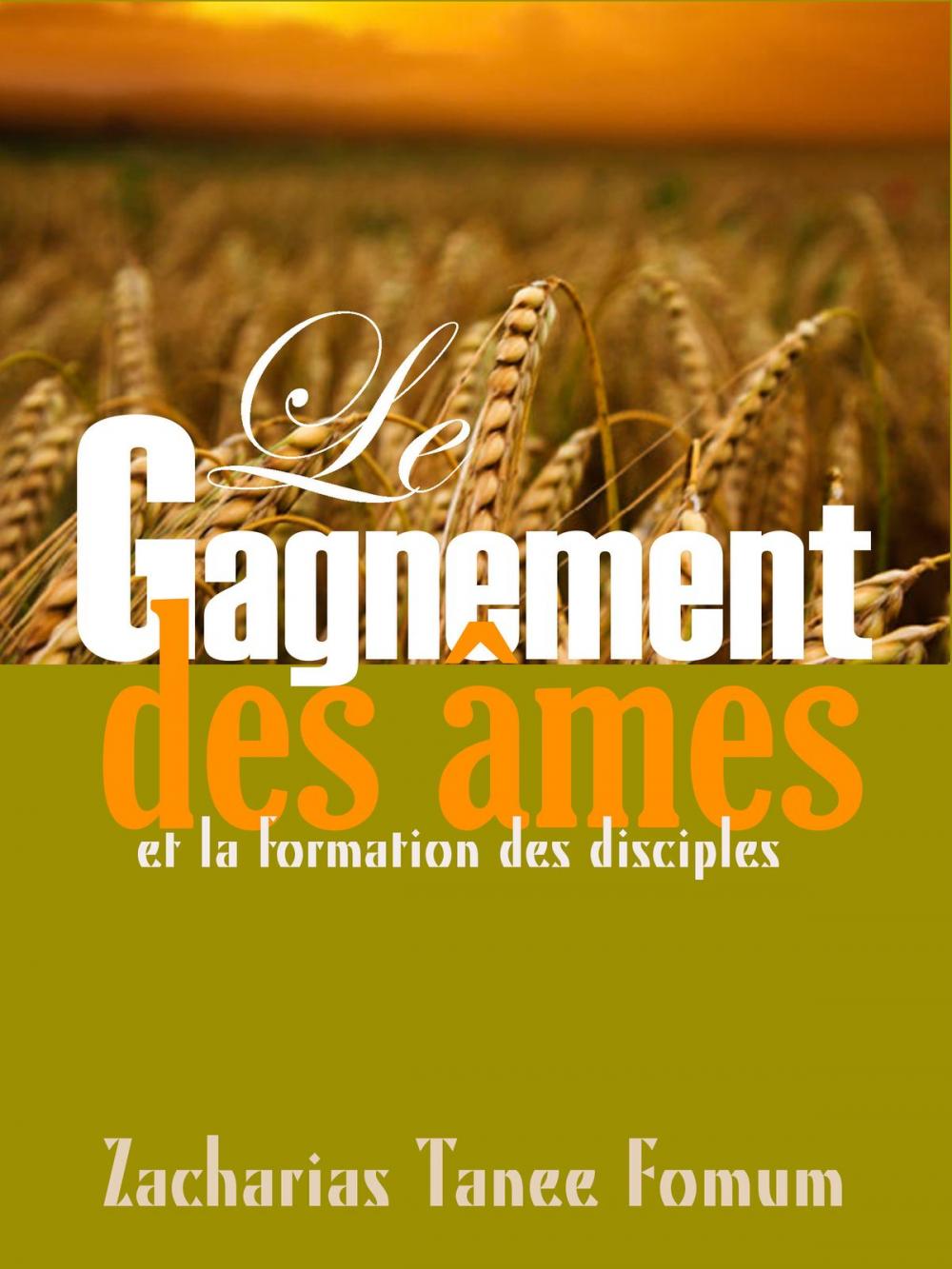 Big bigCover of Le Gagnement Des Ames et la Formation Des Disciples