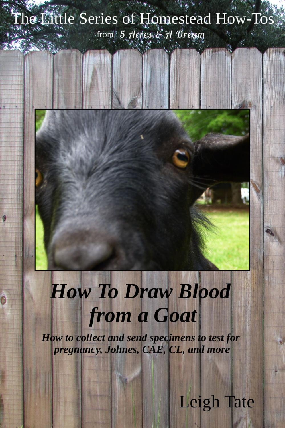 Big bigCover of How To Draw Blood from a Goat: How To Collect and Send Specimens to Test for Pregnancy, Johnes, CAE, CL, and More