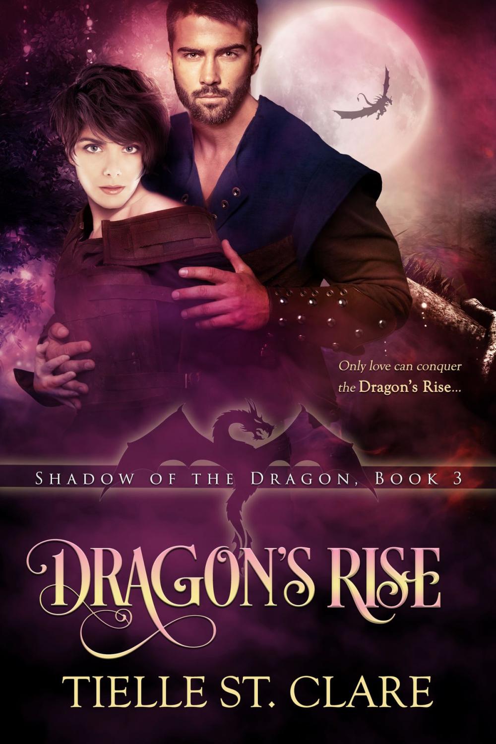 Big bigCover of Dragon's Rise