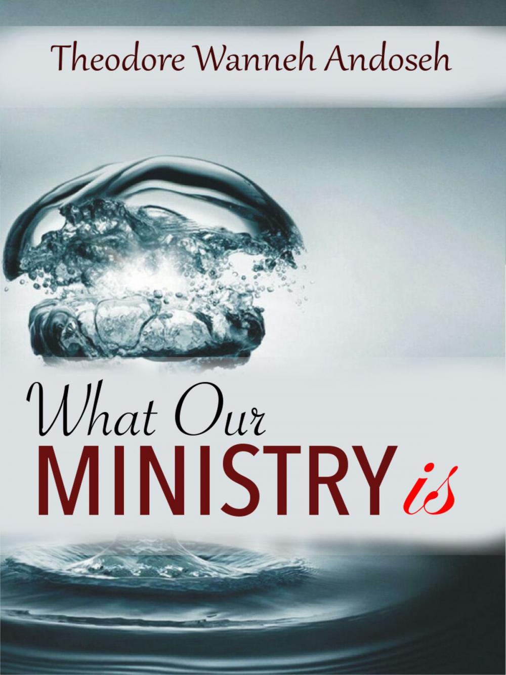 Big bigCover of What Our Ministry Is