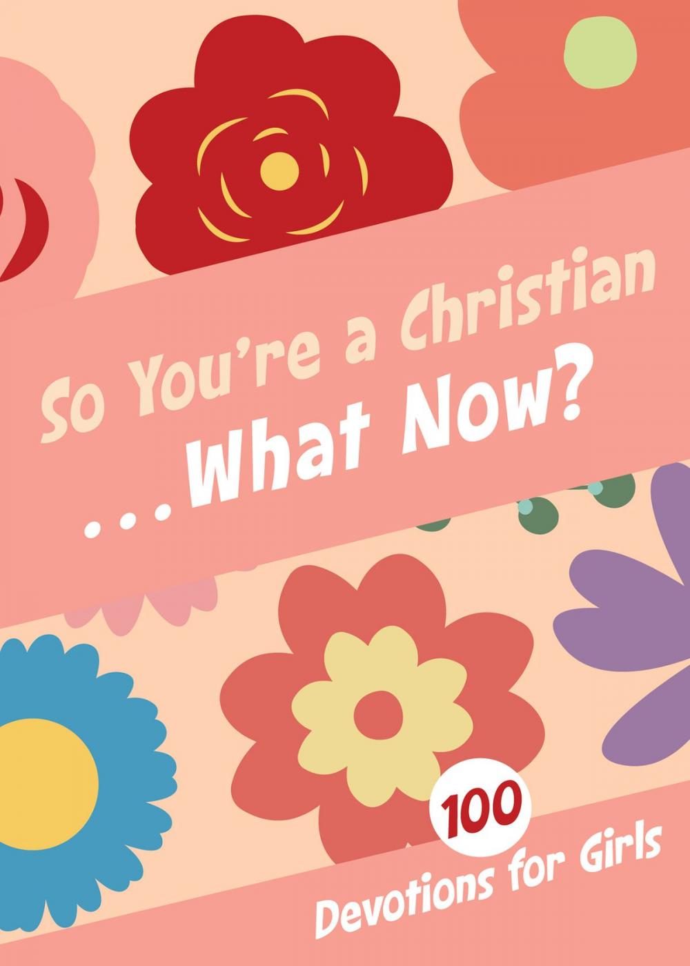 Big bigCover of So You're a Christian . . . What Now?