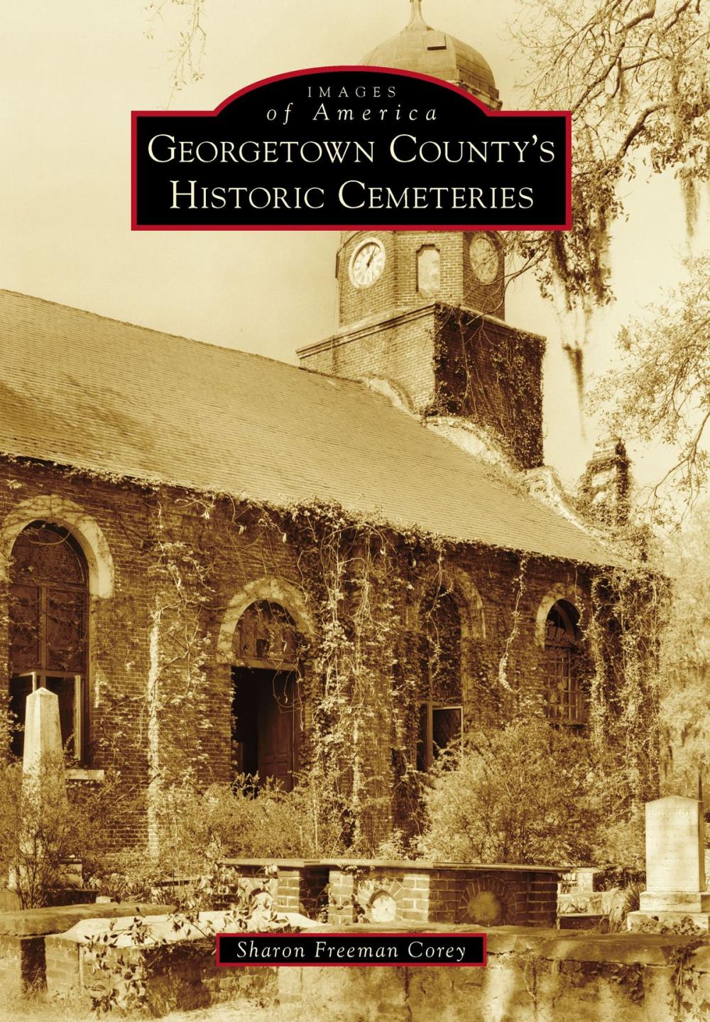 Big bigCover of Georgetown County's Historic Cemeteries